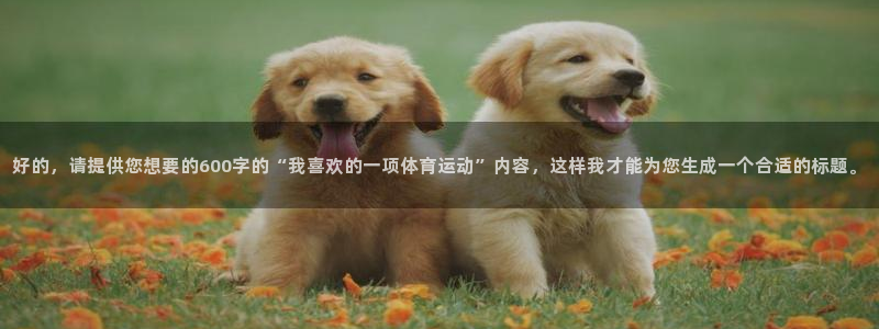 球速体育