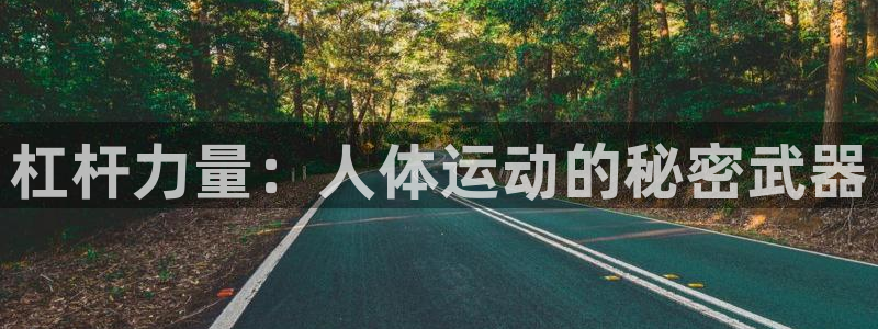 球速体育
